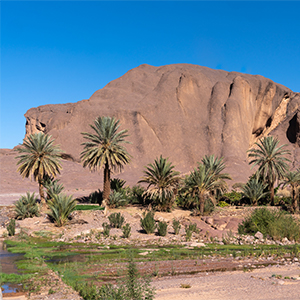 Bivouac des aigles, Ouarzazate